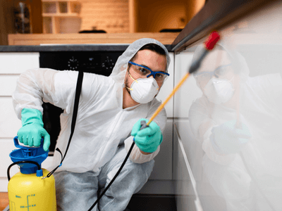 About Spider Extermination Moon Valley - spider extermination experts in Moon Valley